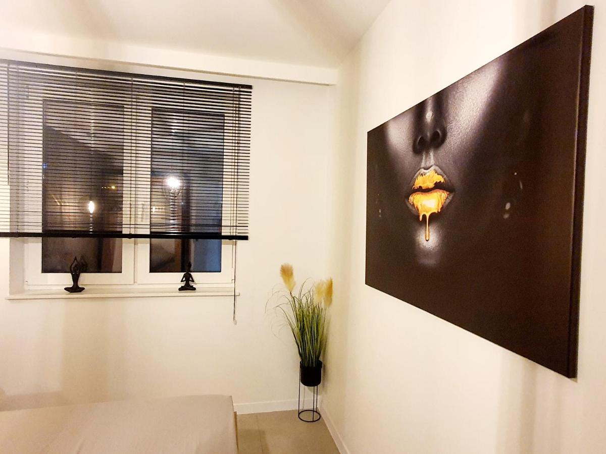 Konopnickiej 88 Cosy Apartment سوسنوفييتس المظهر الخارجي الصورة