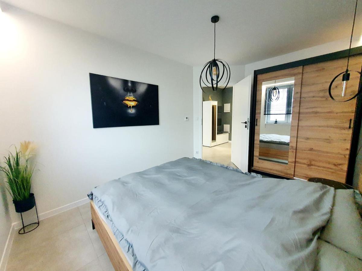 Konopnickiej 88 Cosy Apartment سوسنوفييتس المظهر الخارجي الصورة