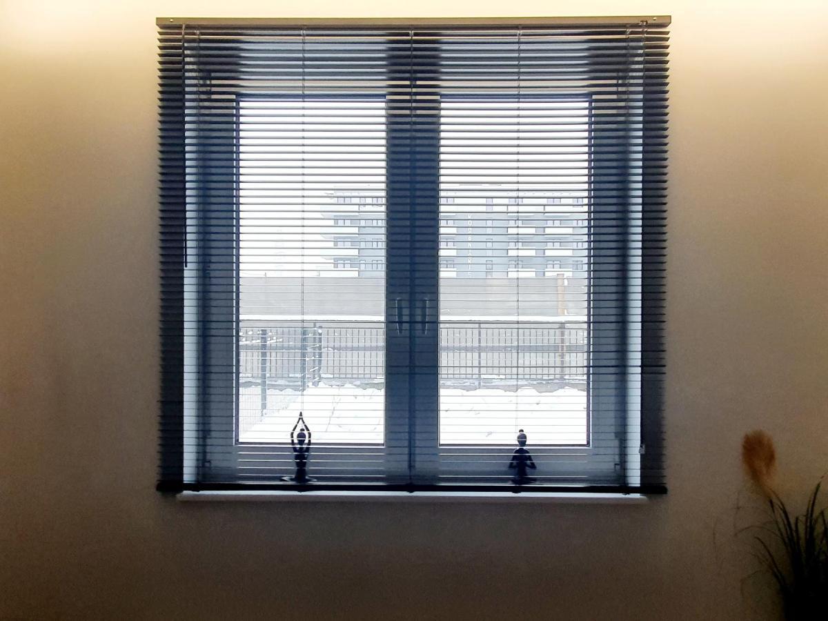 Konopnickiej 88 Cosy Apartment سوسنوفييتس المظهر الخارجي الصورة
